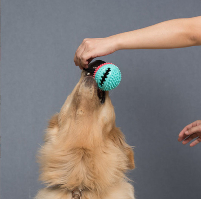 Chewy Dispensing Proof Dog Puzzle Training Ball On Rope For Dogs Puppies