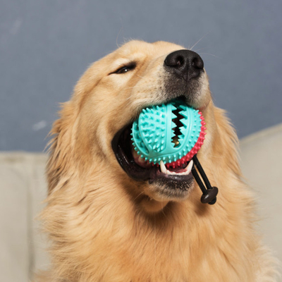 Chewy Dispensing Proof Dog Puzzle Training Ball On Rope For Dogs Puppies