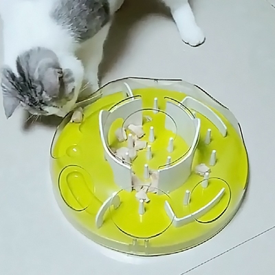 DIY Cat Predation Play Maze Toy Training Missing Cat Supplies