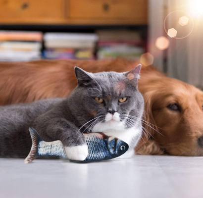 Interactive Flopping Fish Cat Toy With Catnip Bag Flapping Fish For Cats