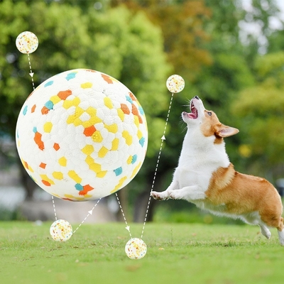 ETPU High Elastic Rebound Bite Resistant Dog Bite Ball TPU Bite Resistant Molar Ball Training Pet Puzzle Interactive Toy