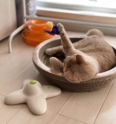 Flutter Bug Interactive Cat Butterfly Toy Two Replacements For Indoor Cats