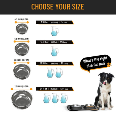 Active Pets Dog Bowl Set Stainless Steel No Spill Mess-Proof Food & Water Dog Food Bowls with Silicone Mat