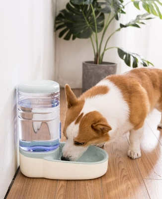 Automatic Dog Food Feeder For Small / Medium Pet Puppy Kitten