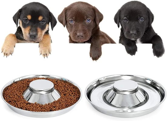 Puppy Stainless Steel Dog Bowls For Feeding Food And Water