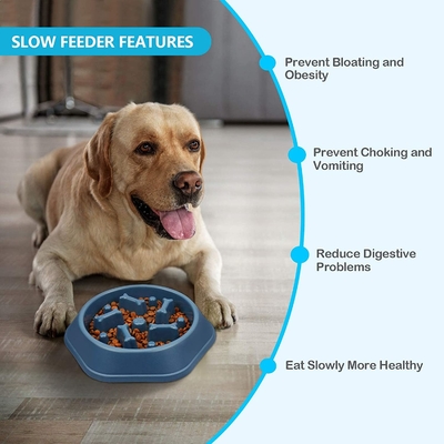 Interactive Slow Feeder Bowl Anti Chocking For Small Medium Dogs
