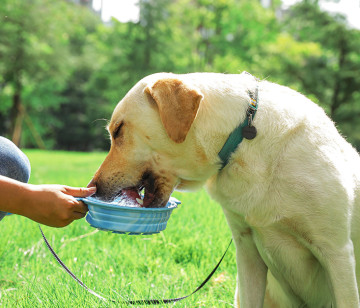 Dog Cat Lick Mat,Licking Pads with Suction Cups & Spatula Calming Slow Feeder Licking Pad for Dogs Traveing