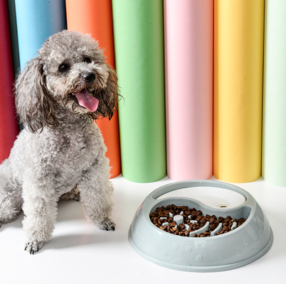 Slow Feeder Food Water 2 In 1 Bowl For Small Medium Dogs