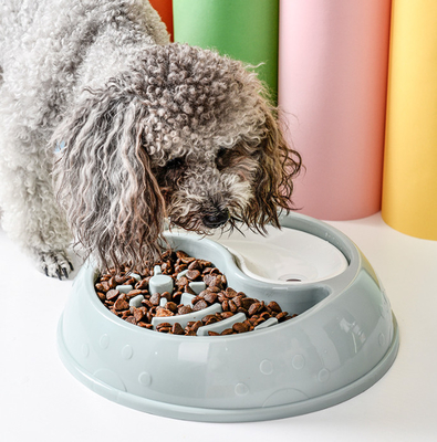 Slow Feeder Food Water 2 In 1 Bowl For Small Medium Dogs
