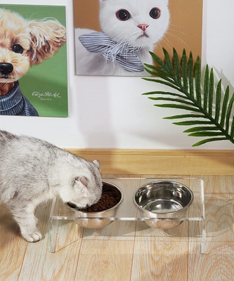Acrylic Elevated Dog And Cat Pet Feeder with 2 Set Removable Food and Water Bowls