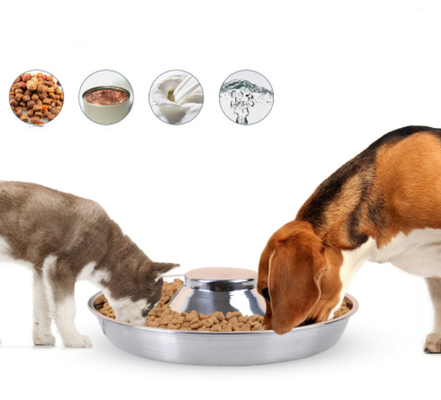 Stainless Steel Dog Bowl Puppy Slow Feeder Bowls For Food Feeding