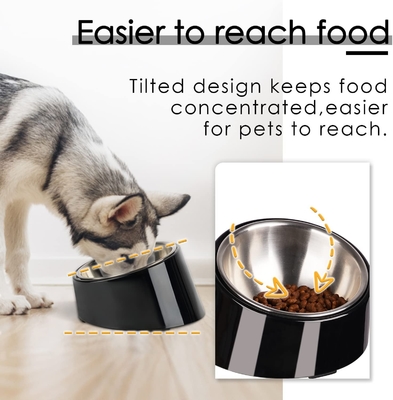 Design Mess Free 15° Slanted Bowl for Dogs and Cats