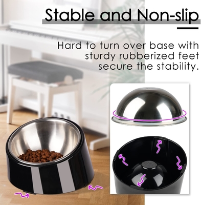 Design Mess Free 15° Slanted Bowl for Dogs and Cats