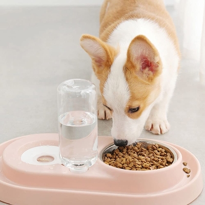 Double Dog Cat Bowls, Stainless Steel Dog Bowl Cat Food Bowls and Water Feeder with Automatic