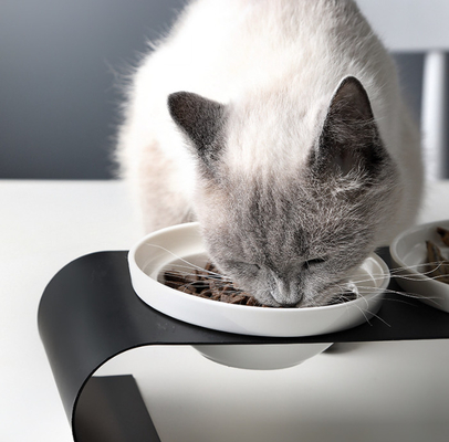 Elevated Ceramic Dog Cat Bowls for Food and Water