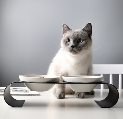 Elevated Ceramic Dog Cat Bowls for Food and Water