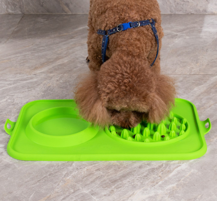 Slow Feeder Fun Interactive Food Feeder with BPA Free Food Water Bowl
