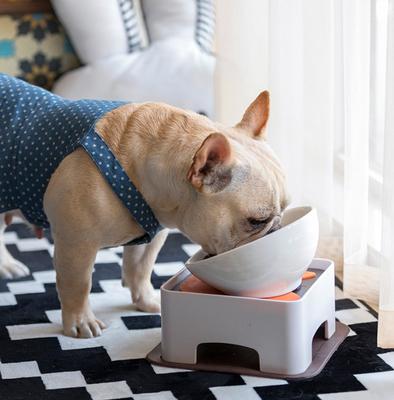 CeramicsTilted Single Food Feeding Bowl for French Bulldogs/Cats