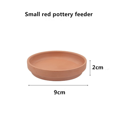 Climbing Pet Turtle Dinner Plate Guard Frog Lizard Ceramic Food Plate Drinking Plate