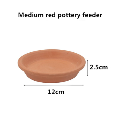 Climbing Pet Turtle Dinner Plate Guard Frog Lizard Ceramic Food Plate Drinking Plate