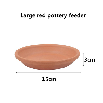 Climbing Pet Turtle Dinner Plate Guard Frog Lizard Ceramic Food Plate Drinking Plate