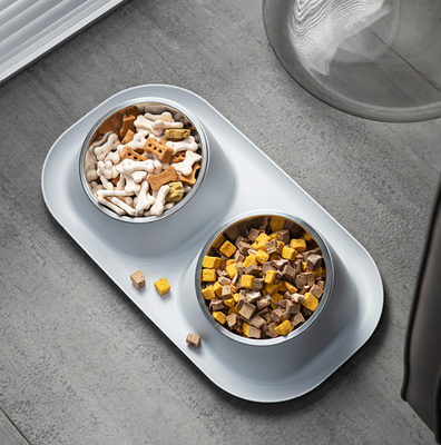 Stainless Steel Pet Feeder Bowls With No Skid Silicone Mat