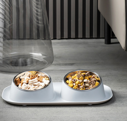 Stainless Steel Pet Feeder Bowls With No Skid Silicone Mat
