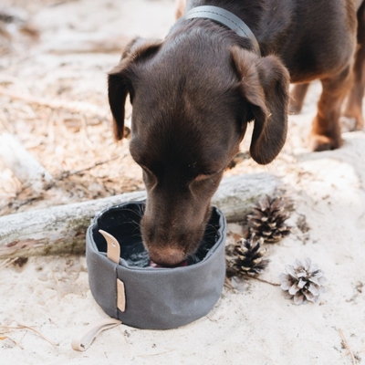 Foldable Waxed Canvas Pet Feeder Bowls Outdoor Portable Travel Dog Food Plate