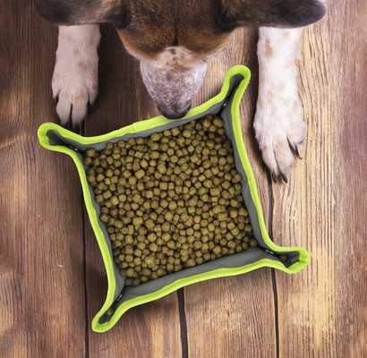 Reflect Light Oxford Cloth Foldable Pet Feeder Bowls Feeding Eating And Drinking Water