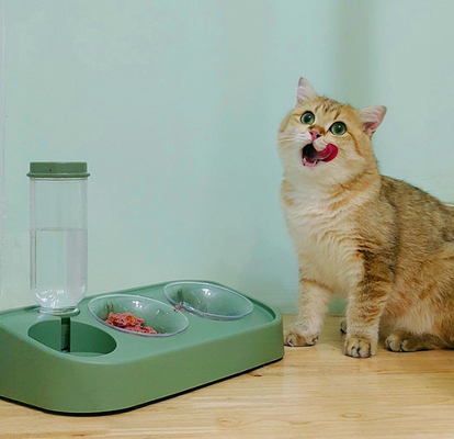 Ceramic Automatic Cat Feeder Dry Wet Depart For Cats