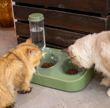 Ceramic Automatic Cat Feeder Dry Wet Depart For Cats