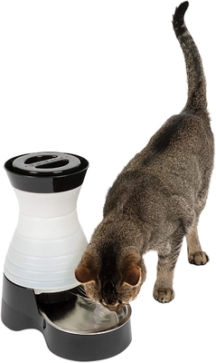 Stainless Steel Automatic Pet Food Station With Microchip