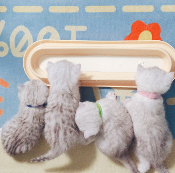 ABS Anti Skid Extended Pet Food Dishes For Puppy Large Dog