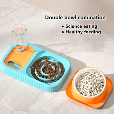 Stainless Steel Pet Slow Feeder Tilted Cat Dog Bowls Set