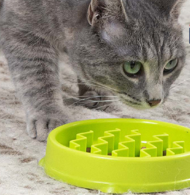 Interactive Cat Puzzle Bowl Non Slip Slow Feeder ABS