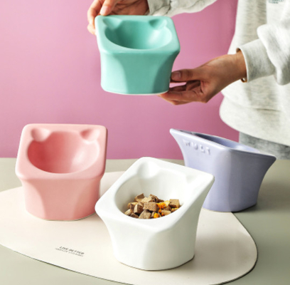Elevated Food Water Slow Feeder Bowls Ceramic Raised Tilted