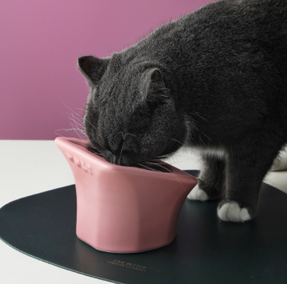 Elevated Food Water Slow Feeder Bowls Ceramic Raised Tilted