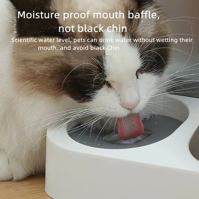 ABS Double Pet Feeder Bowls Automatic Water Dispenser Damp Proof Baffle