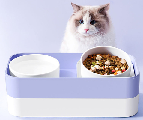 Elevated Neck Guard Cat Food Dispenser With Leak Proof Fence