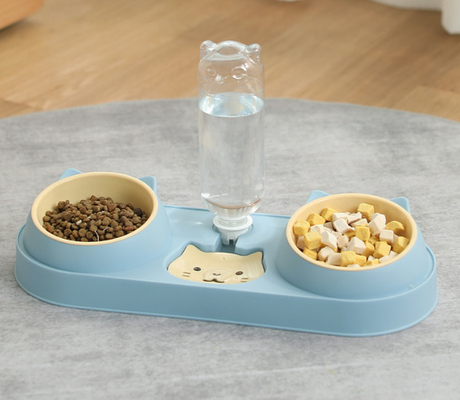 15 Degree Tilted Automatic Water Bottle Bowl Cat Double Food Bowl
