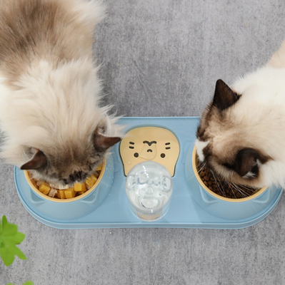 15 Degree Tilted Automatic Water Bottle Bowl Cat Double Food Bowl