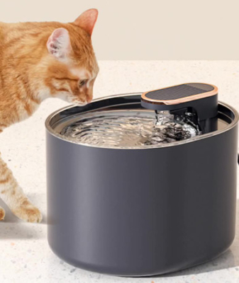 2 Stainless Steel Raised Dog Bowl Automatic Water Feeder
