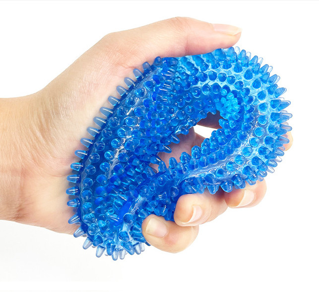 Donut Shape Squeaky Pet Chew Toys For Dog Training Fetching Teething