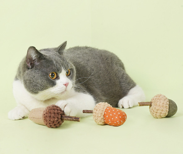 Scratcher Training Catnip Chew Toys For Cats Teeth For Pets Kittens Kitty Supplies
