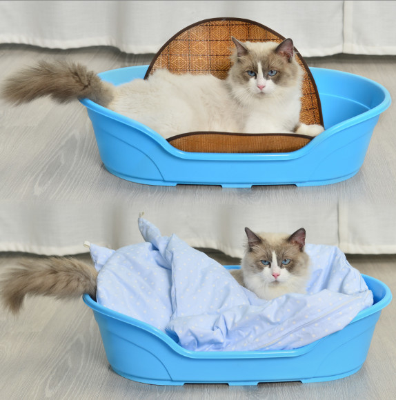 Xl Plastic Dog Bed Kennel For Pet Sleep and Wash Dual Use