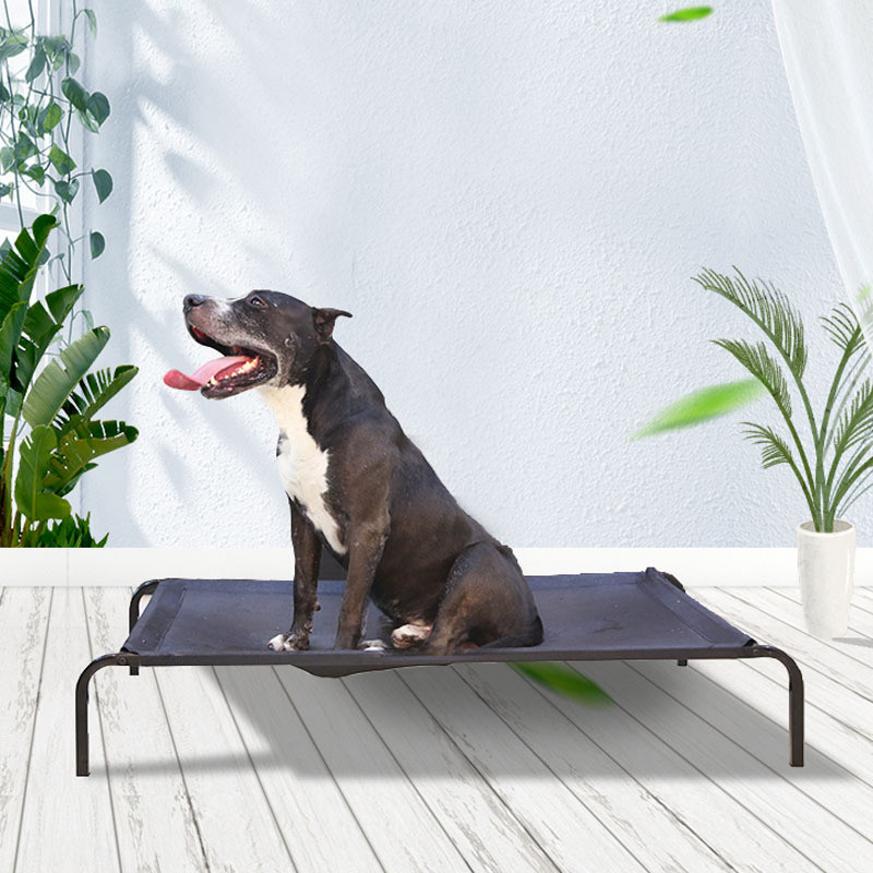 Removable And Washable Mesh Pet Camp Bed Dog Steel Frame Bed Moisture-Proof