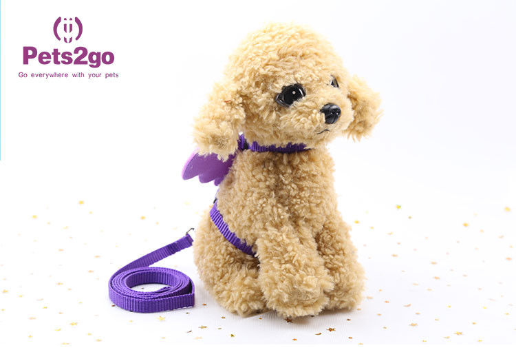 Beautiful Color 75g 120cm Cord Pet Traction Rope