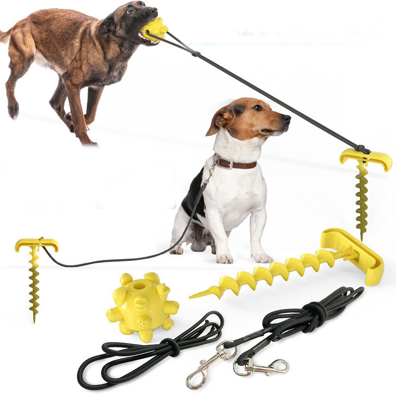 Eco Friendly Elastic Plastic Ground Stake Dog Leash