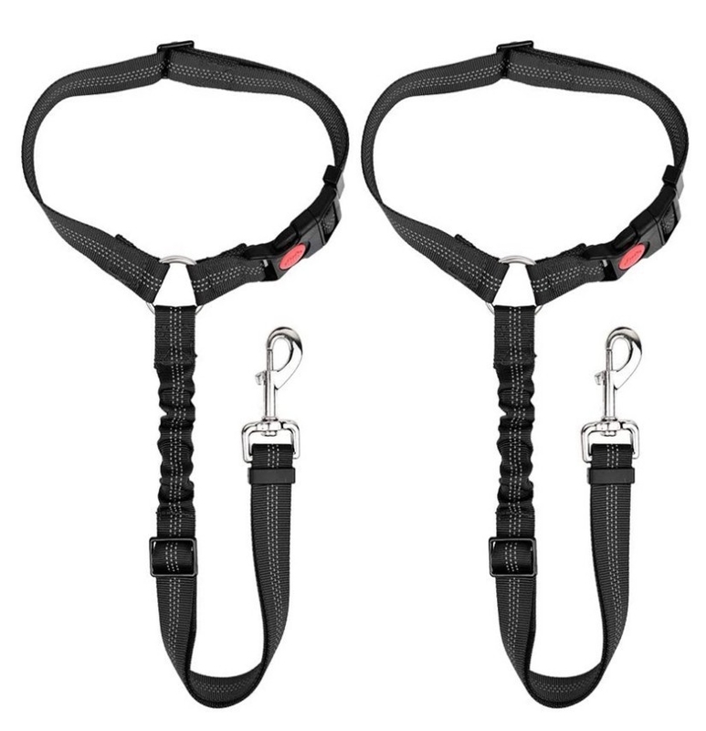 Retractable Elastic Reflective Luminous Traction Belt For Dogs