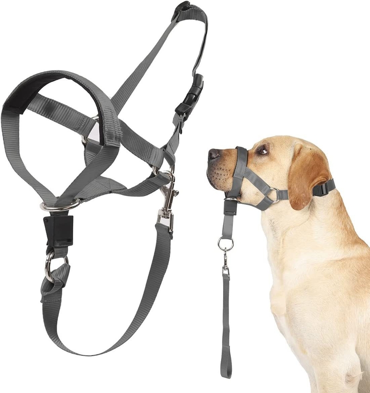 Dog Head Collar No Pull Training Tool For Dogs On Walks Includes Free Training Guide